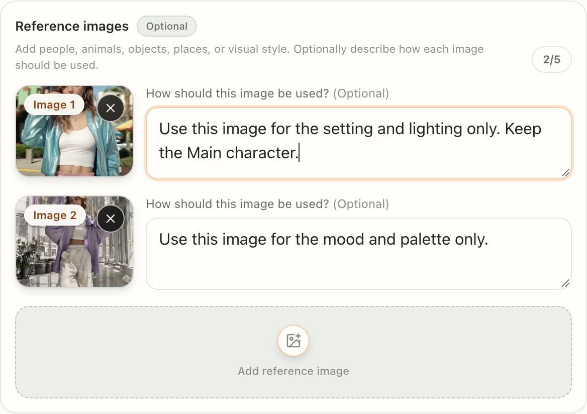 VibeMV Reference images with the How should this image be used fields